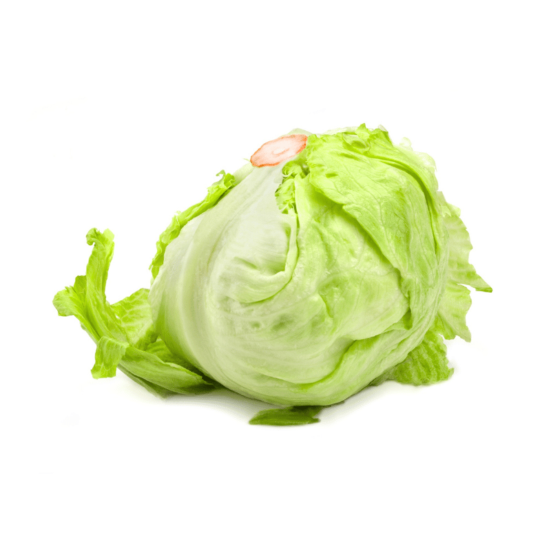 Iceberg Lettuce 1 Whole – Daily Cart Pte Ltd