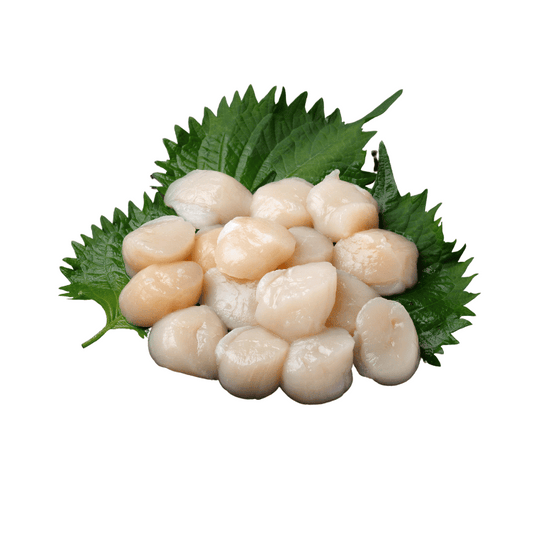 Frozen Scallop 380g