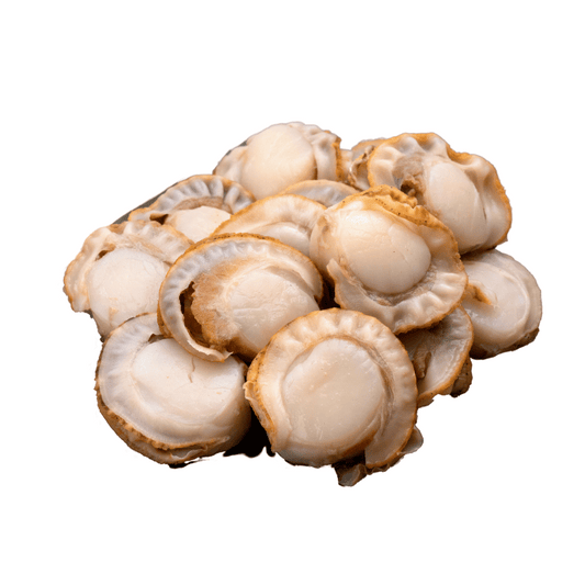 Boiled Scallop Meat 350g