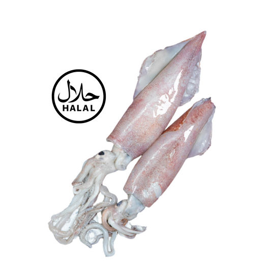 [Halal] Whole Squid / Sotong Masak Hitam 1kg