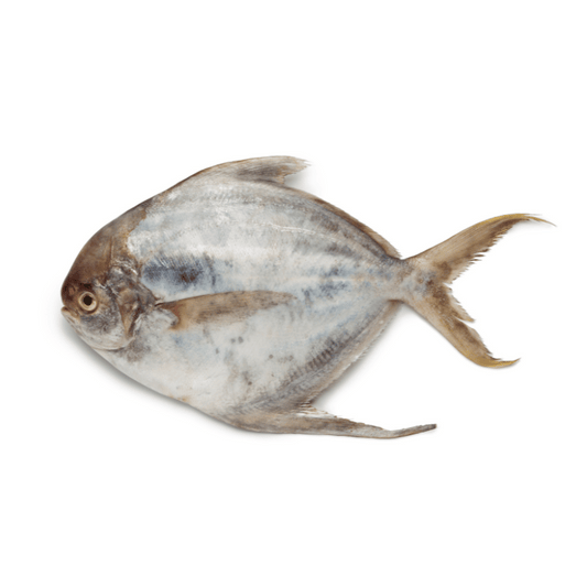 [Halal] White Pomfret - Cleaned